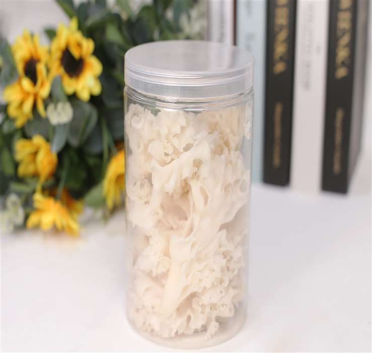 绣球菌
