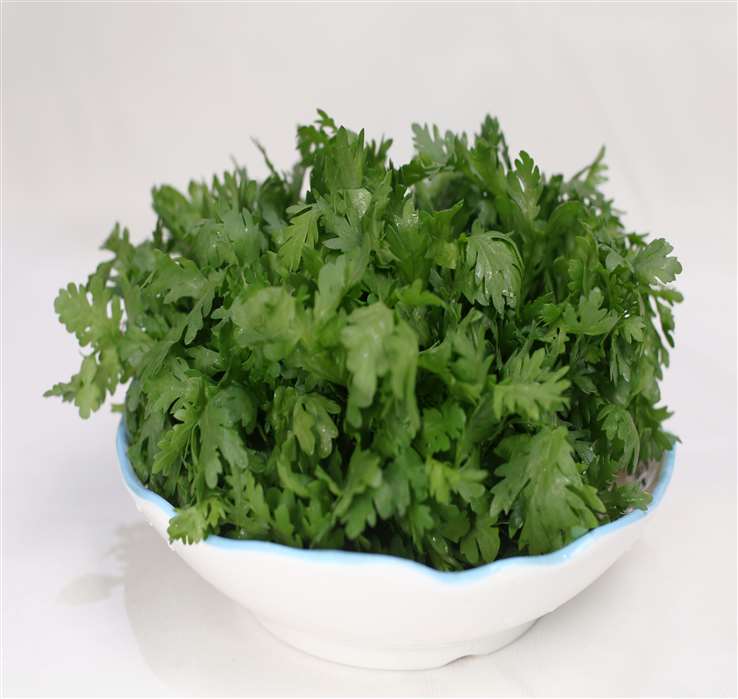 茼蒿.JPG
