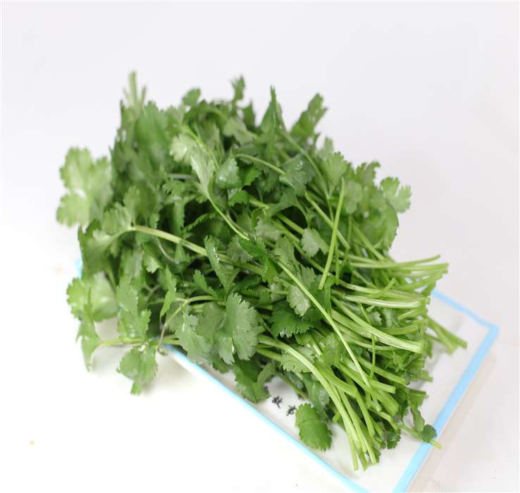 香菜.JPG